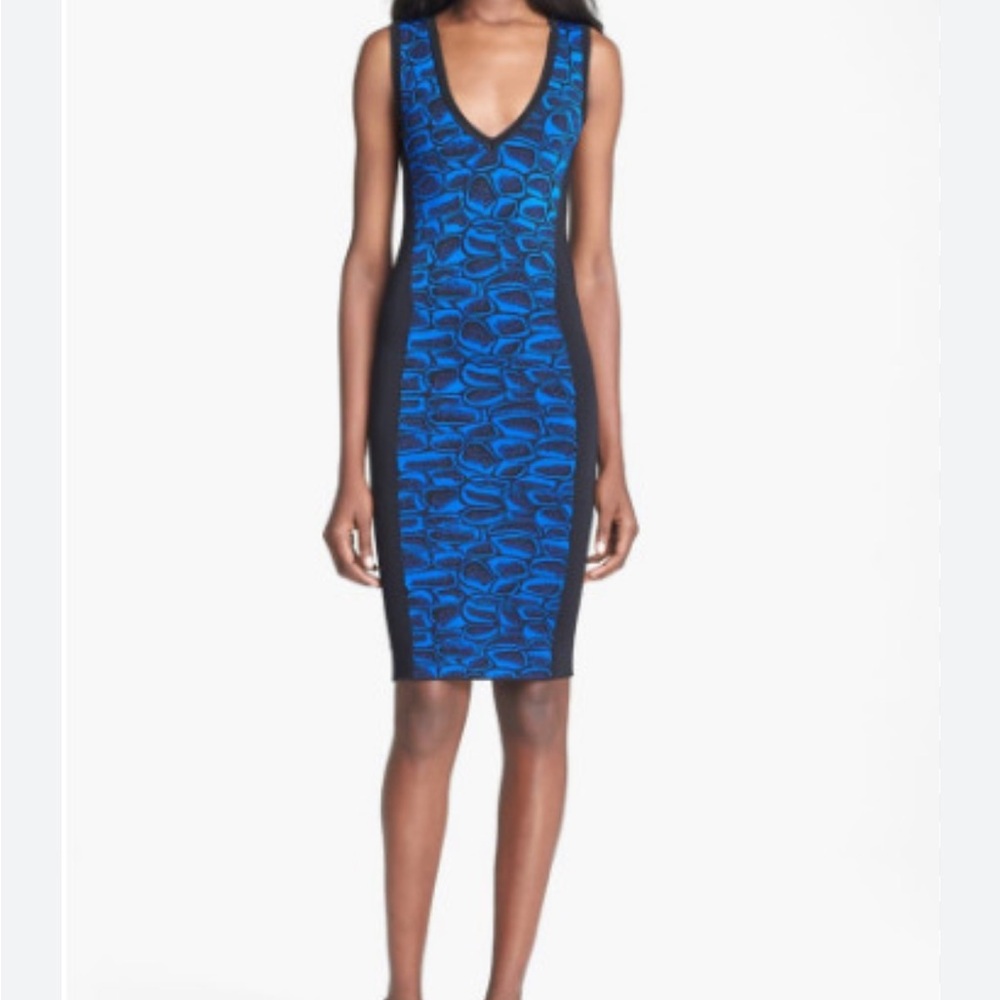 Excellent Jay Godfrey dress.